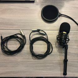 Zingyou Microphone 