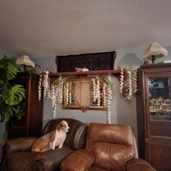 Two Curio Cabinets Glass China Cabinet Shelf Shelves Living Room Set 