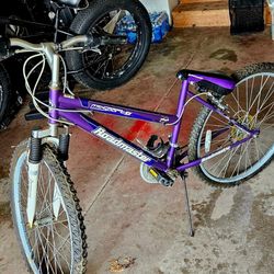 Mountain Sport SX. Road Master. Needs some TLC,
