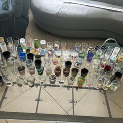 Massive Shot Glass Collection – States, Cities, Countries, Disney, Sports & More! 