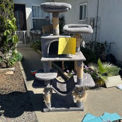 Free WELL Loved Cat Tree