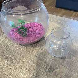 Fish Bowl