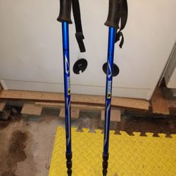 Adjustable Walking Aluminum Sticks.