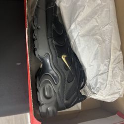 Air Max Plus Tn Women’s
