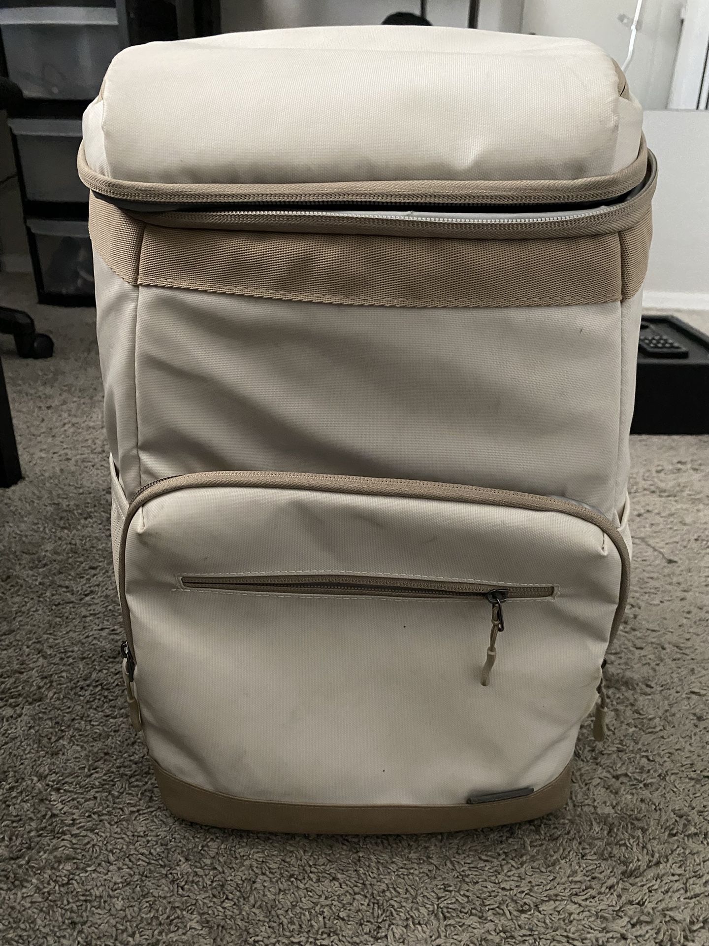 Cooler backpack