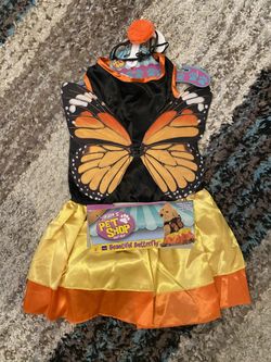 Butterfly Dog Costume (X-Large)