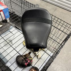 2023 Harley Davidson Sportster 48 solo seat