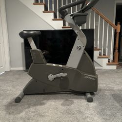 Lifetime Fitness Exercise Bike 
