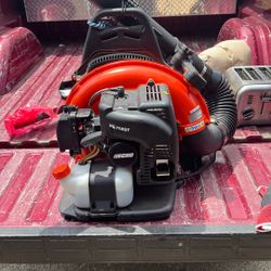 Echo Leaf Blower