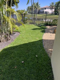 Sod Installation And More !