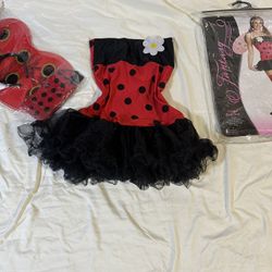 Ladybug 