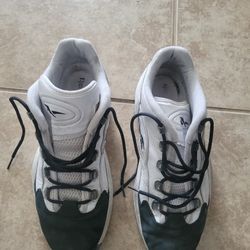 Low Top Question Mens Shoes 