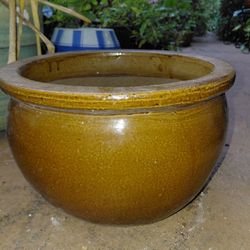 Large Fishbowl Planter With Drainage