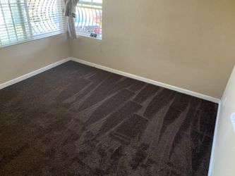Carpet And Laminate