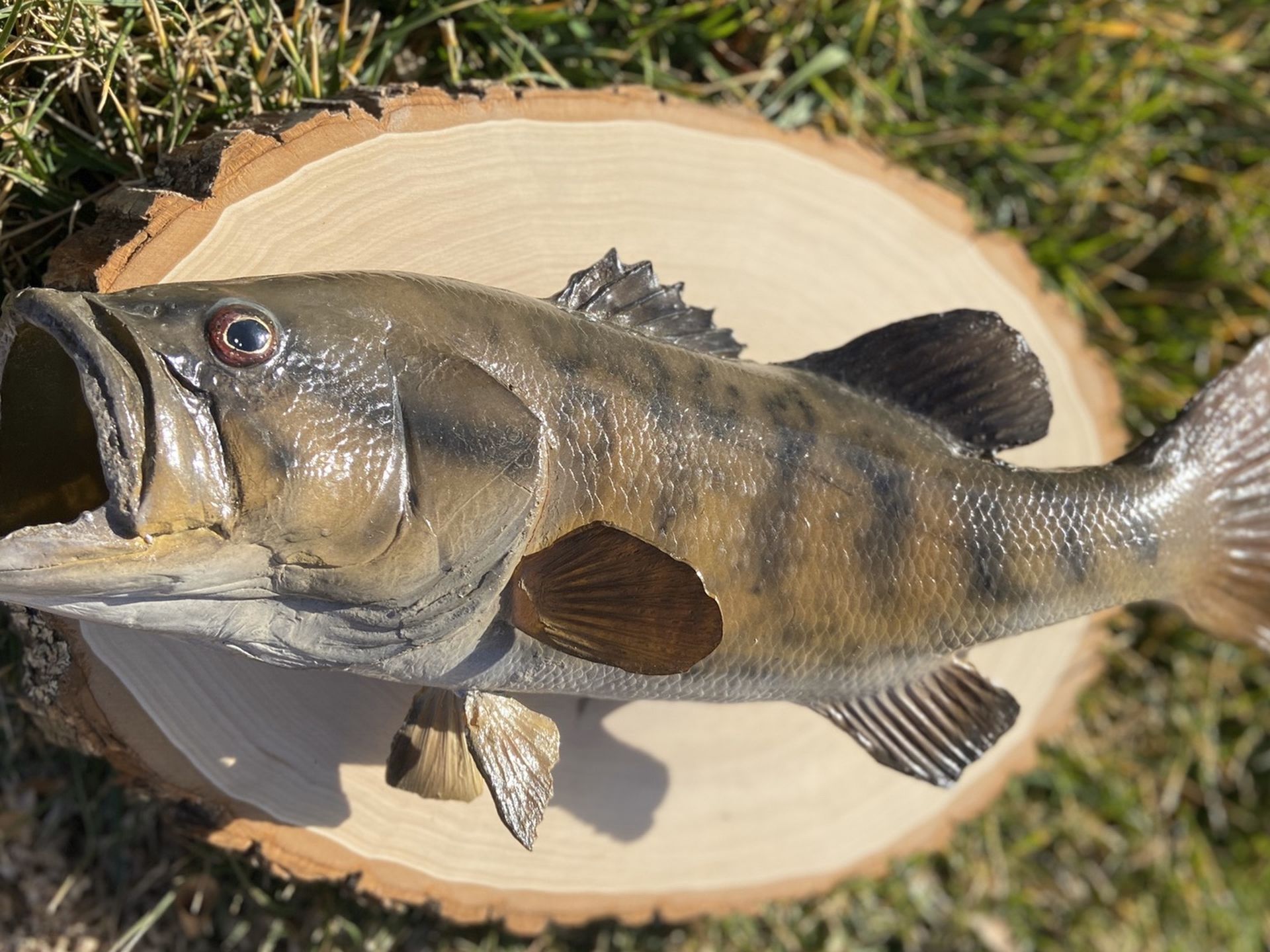 Small Mouth Bass Replica Fish Mount