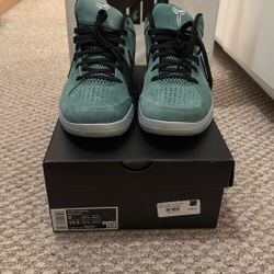 Nike Kobe IV Protro “Girl Dad” Size 9 BRAND NEW