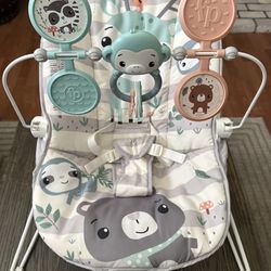 Baby Bouncer 