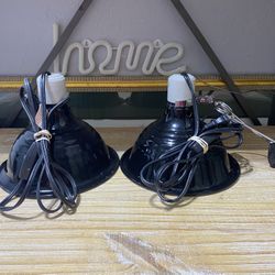 Reptile Lamps