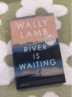 The River is Waiting Novel