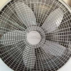 Fan