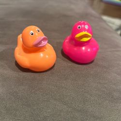 Rubber Duckies 