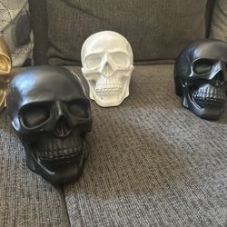 Skeleton Skulls