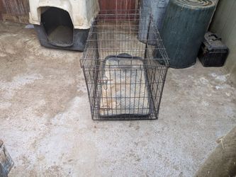 Wire cage!