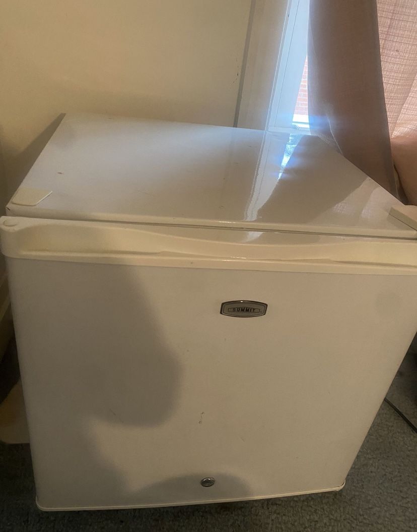 Mini Fridge