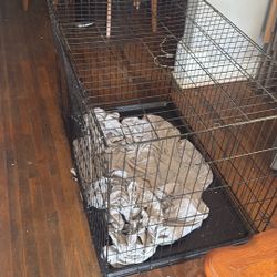Big Dog Cage 