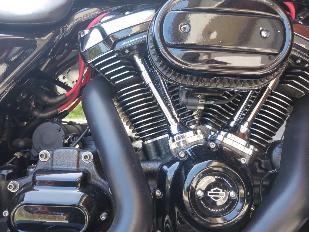 Harley  M8 Bagger Engine /transmission/primerys 