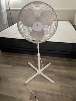 Fan 
