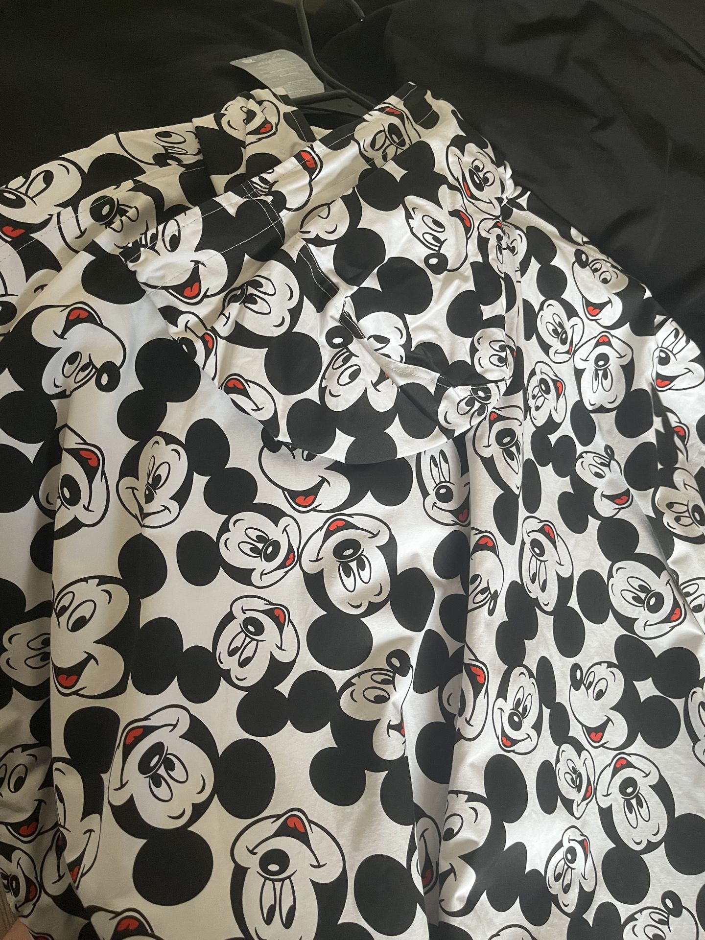 Mickey windbreaker