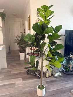 Pretty artificial plant Fig tree  6 ft tall with planter ! Brand New