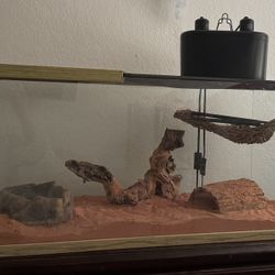Reptile Tank 
