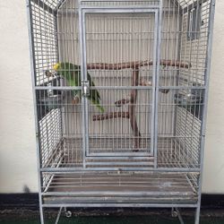 Parrot Cage 