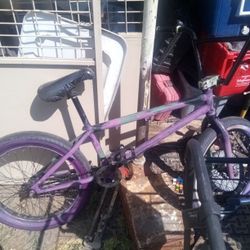 We The People BMX