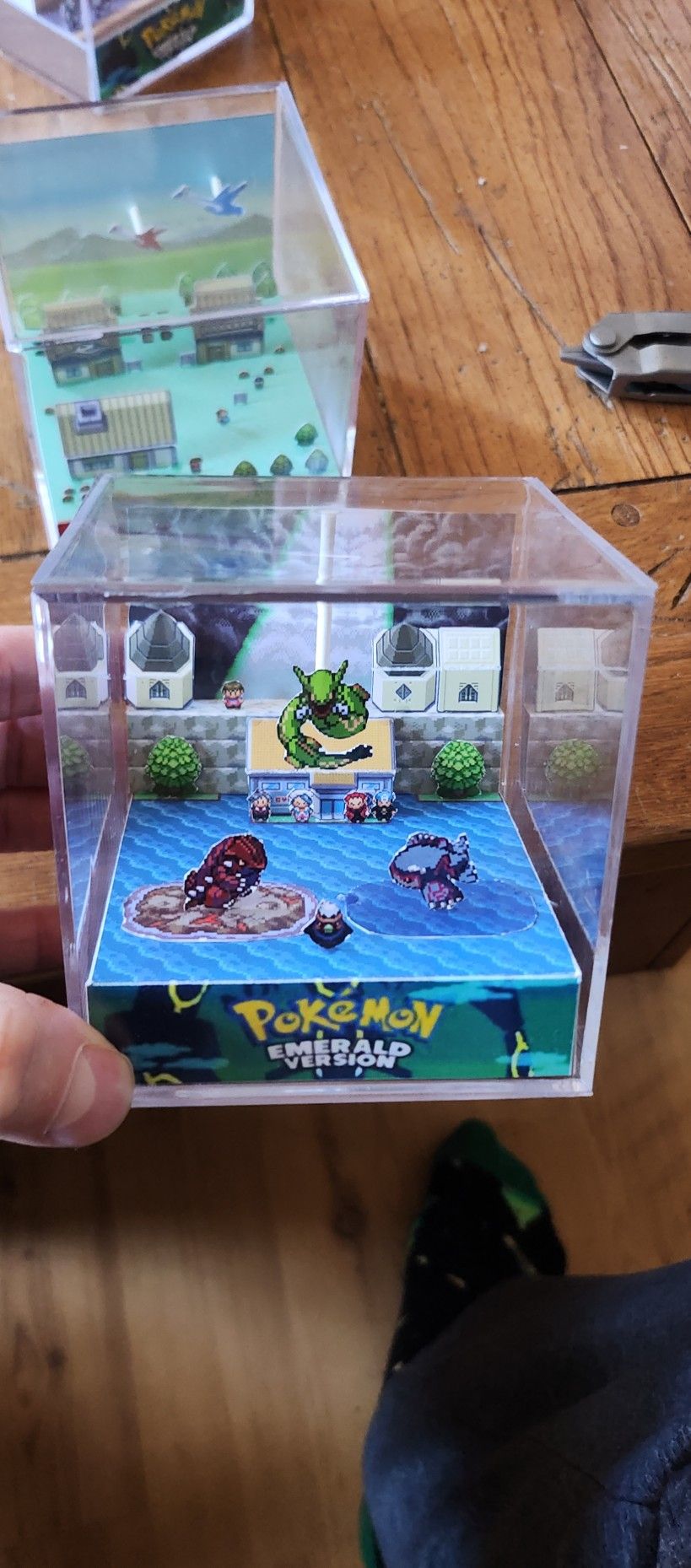 Pokemon Diorama Displays