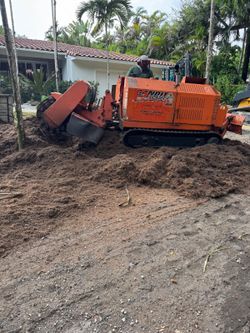 Stump Grinding moledora troncos y raises.