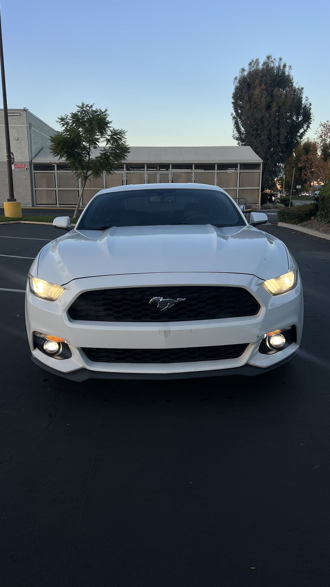 2015 Ford Mustang