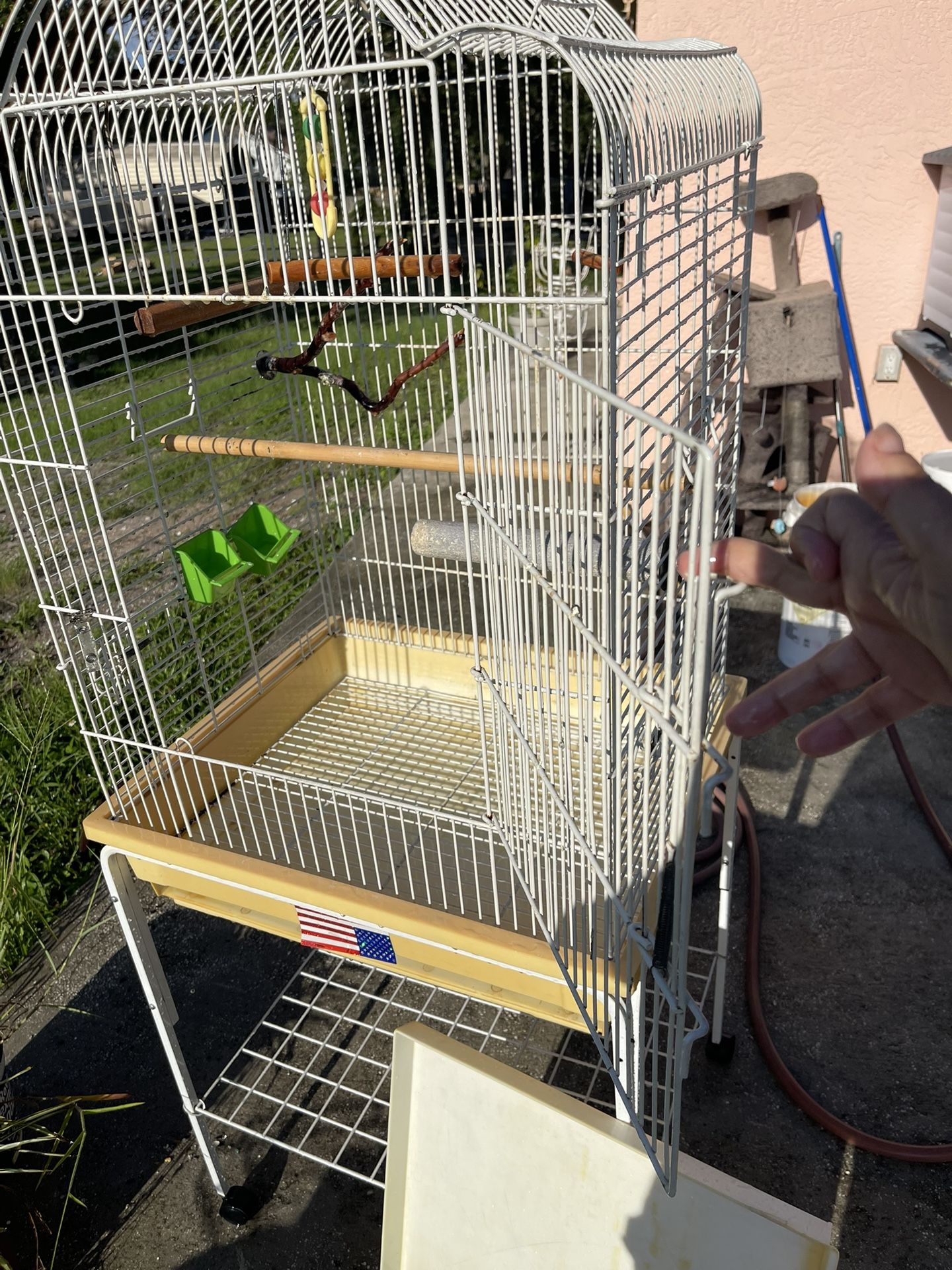 Bird Cage
