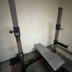 Bench Press/ Squat Weight Bench 