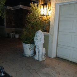 Two Concreat Lian Statues With Two Planters