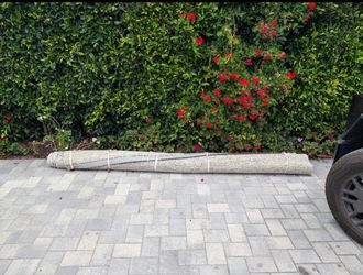 Free 10x14 Mulholland rug