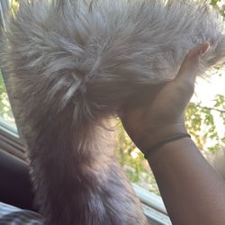 Furry Boots 