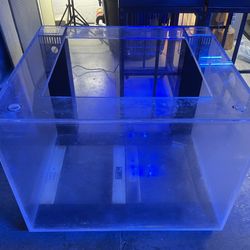 Acrylic Cube Aquarium