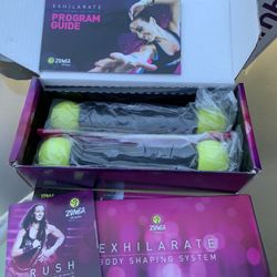 Zumba Fitness Exhilarate Body Shaping System 