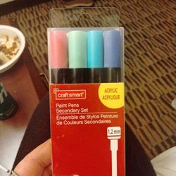 Craft Smart  Paint Pens