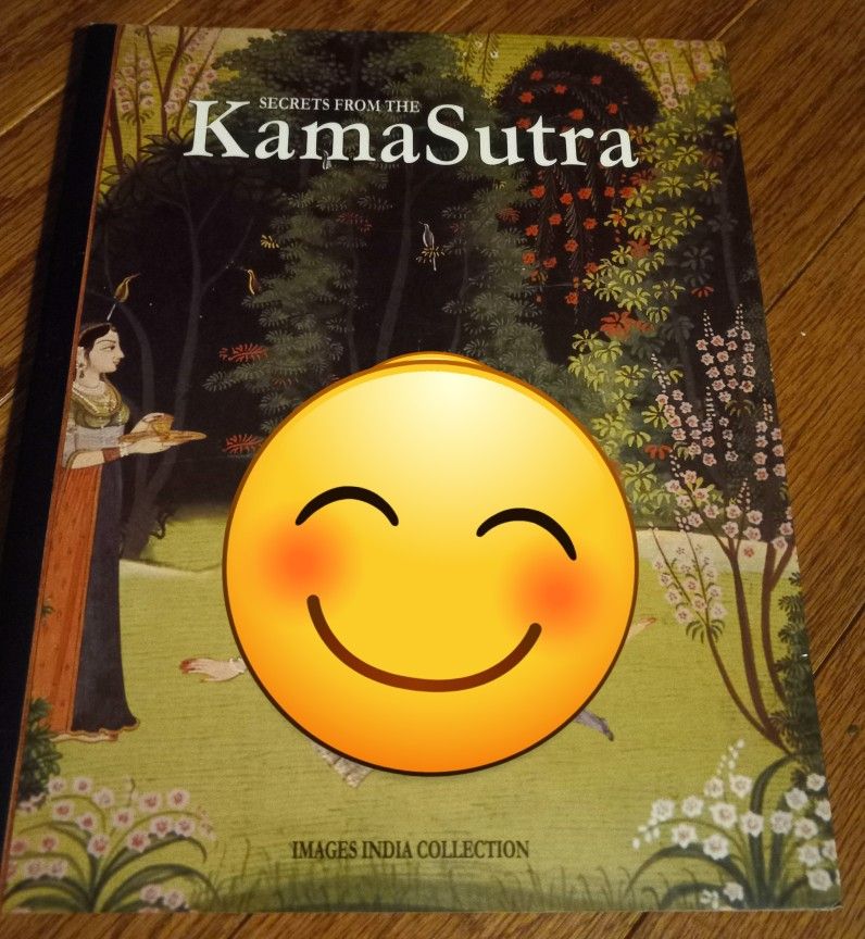 New Kama Sutra The Original Book Of Love book illustrations art