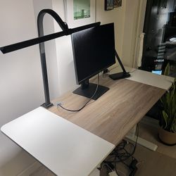 Standing Desk 48 Inch Adjustable Height