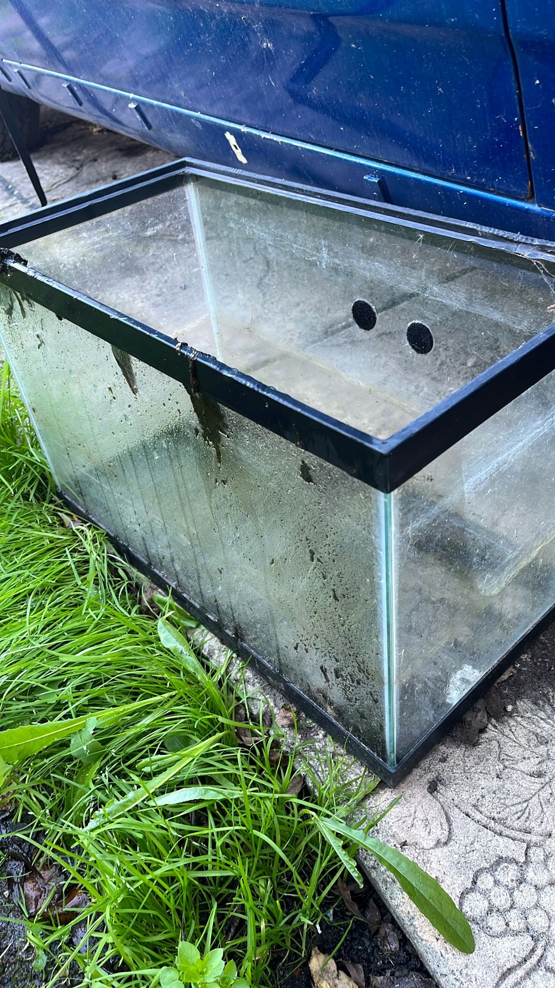 Fish / Reptile / Hamster Tank